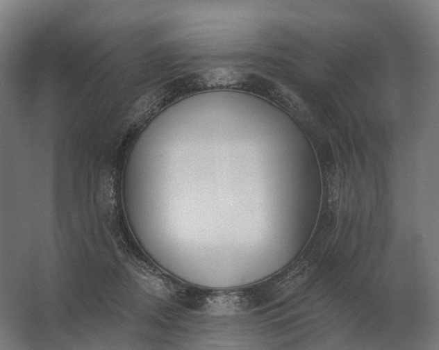 X0000062790362200512290228