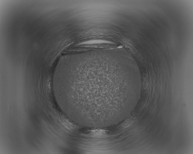 X0000062790363200512290228