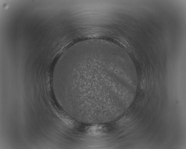 X0000062790366200512290229