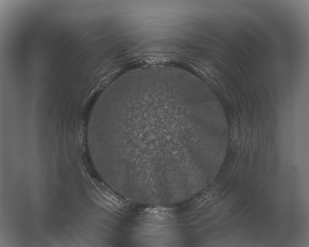 X0000062790367200512290229