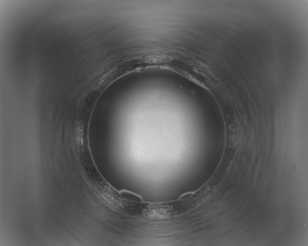 X0000062790368200512290229