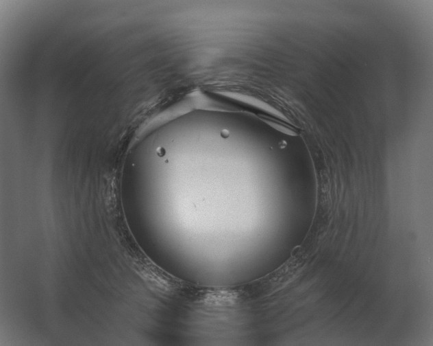 X0000062790369200512290229