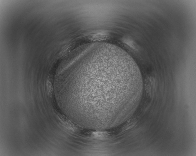 X0000062790371200512290229