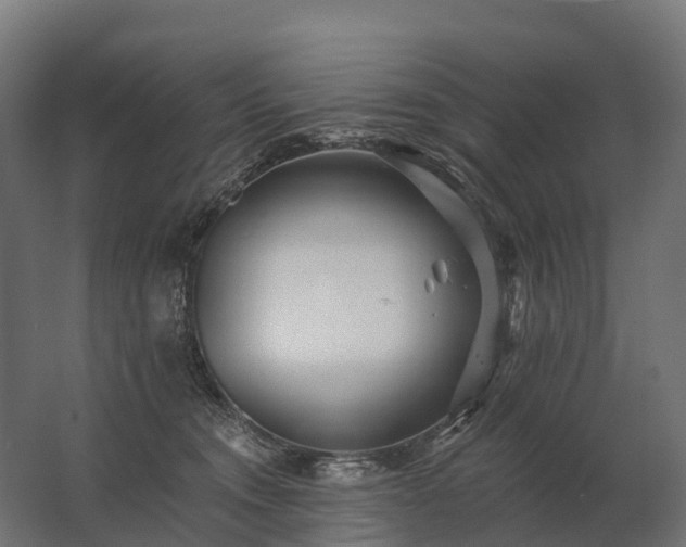 X0000062790372200512290229