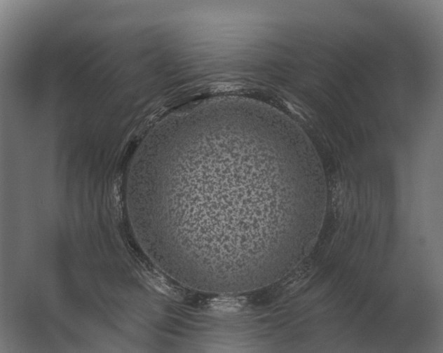 X0000062790373200512290229