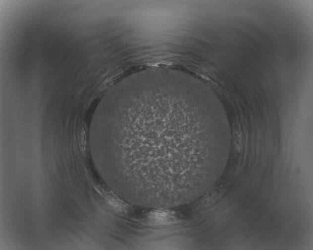 X0000062790375200512290229