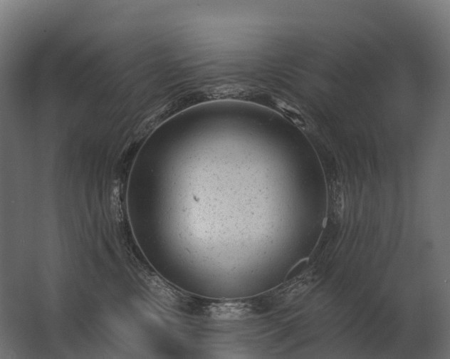 X0000062790378200512290229