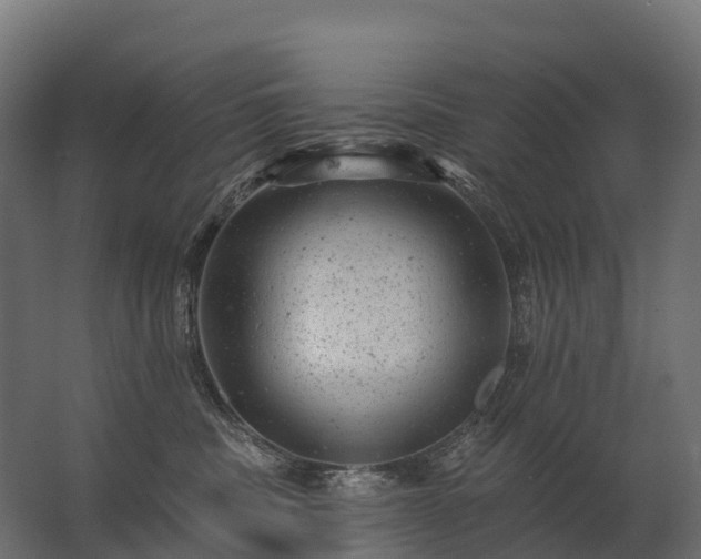 X0000062790379200512290229