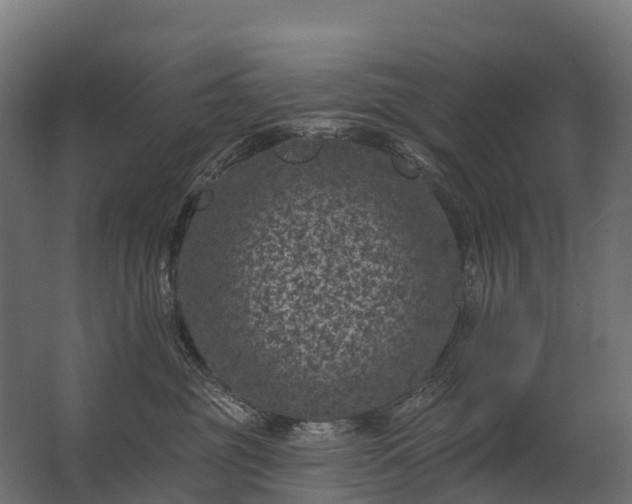 X0000062790381200512290229