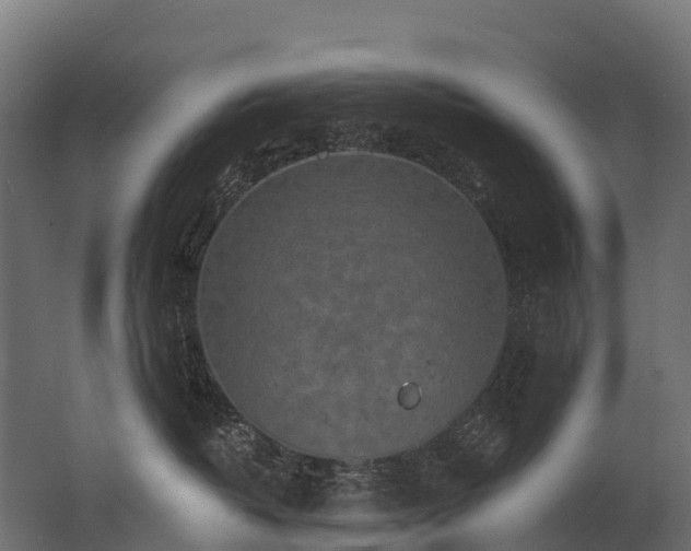 X0000062790382200512290229