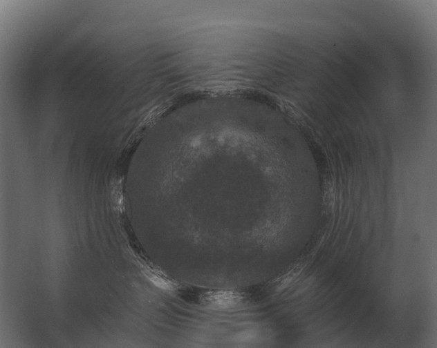 X0000062790383200512290229