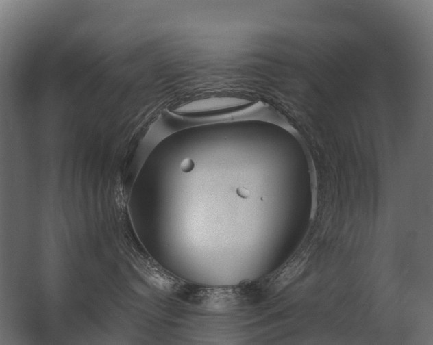 X0000062790384200512290229