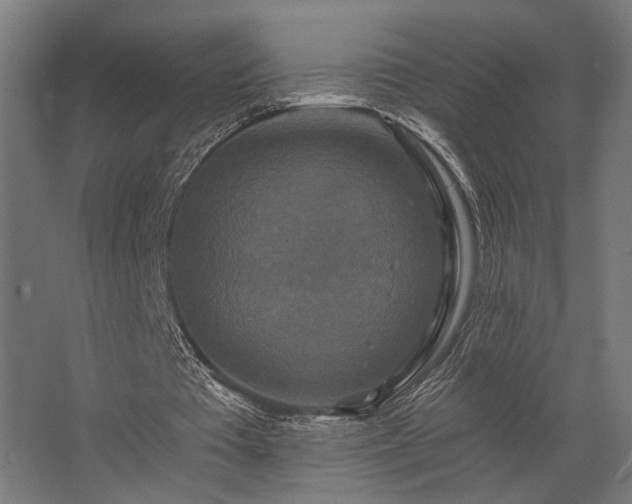 X0000062790385200512290228