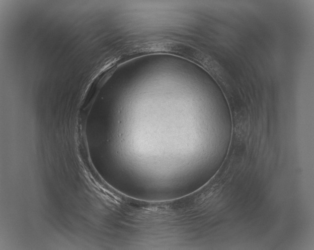 X0000062790386200512290228