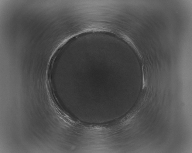 X0000062790387200512290228