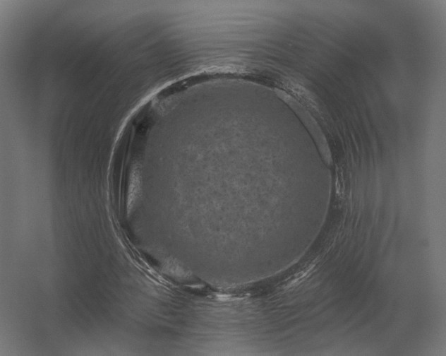 X0000062790388200512290228