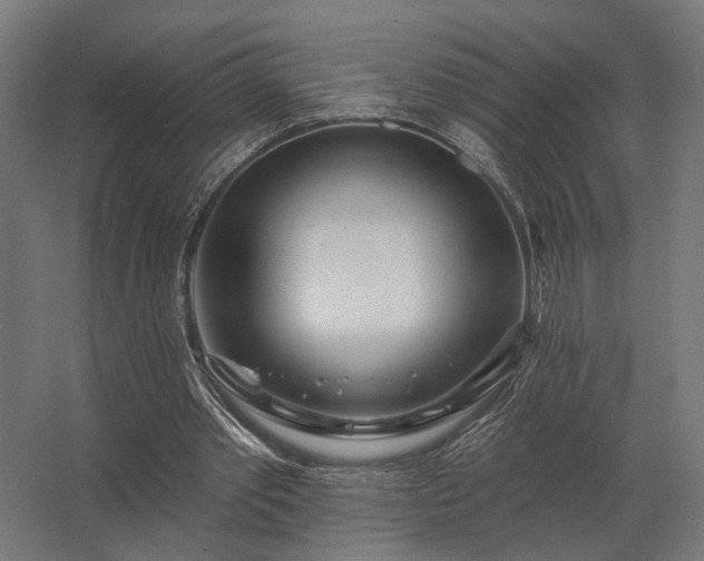 X0000062790389200512290228