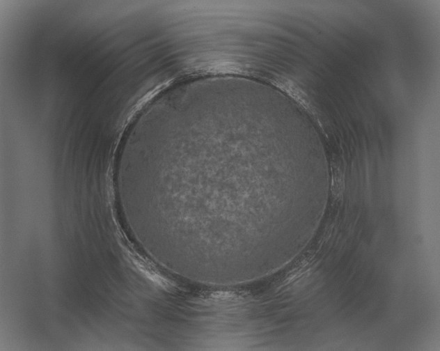 X0000062790390200512290228