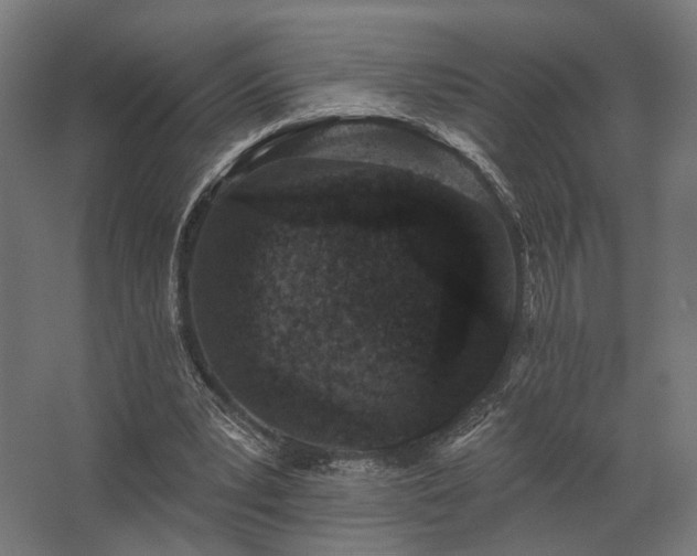 X0000062790391200512290228