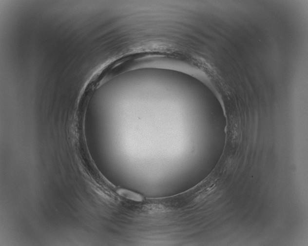 X0000062790392200512290228