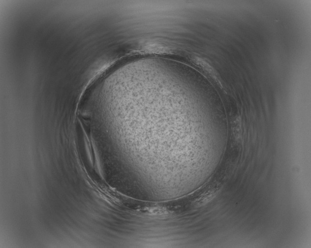 X0000062790395200512290228