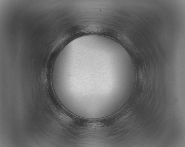 X0000062790396200512290228