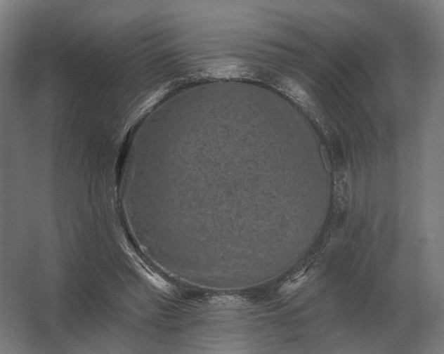 X0000062790397200512290228