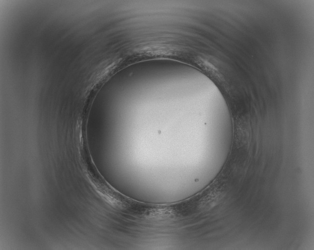 X0000062790398200512290228