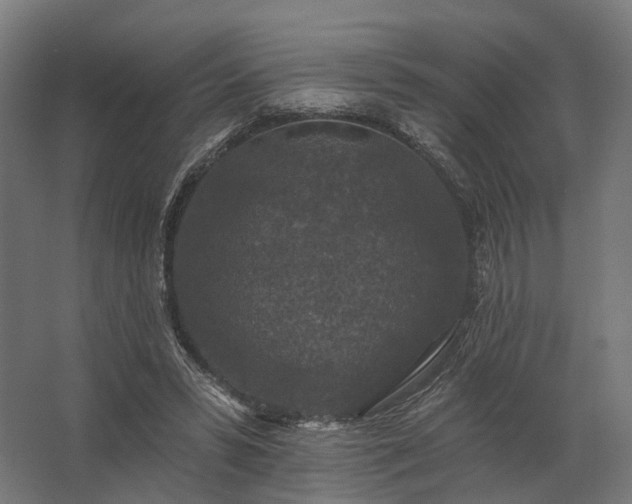 X0000062790399200512290228