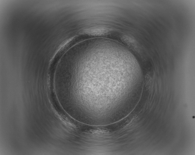 X0000062790400200512290228