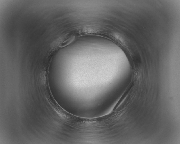 X0000062790401200512290228