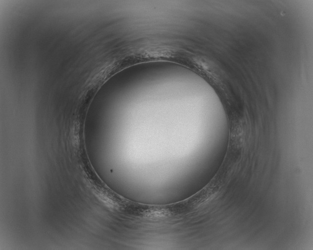 X0000062790402200512290228