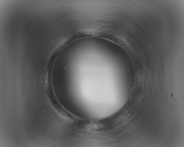 X0000062790404200512290228