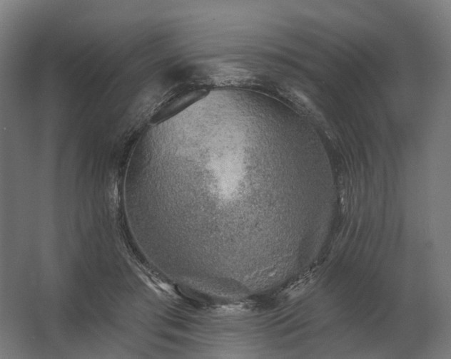 X0000062790405200512290228