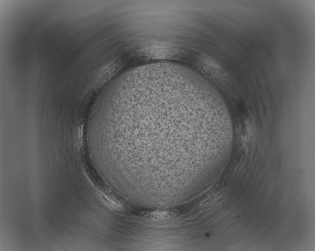 X0000062790406200512290228