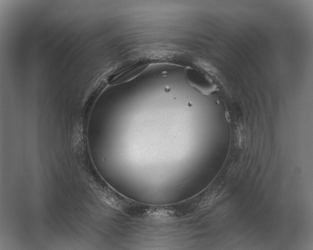 X0000062790407200512290228