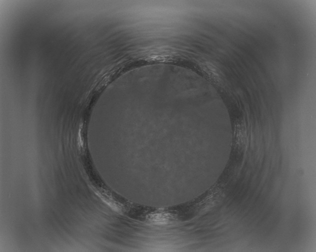 X0000062790408200512290228