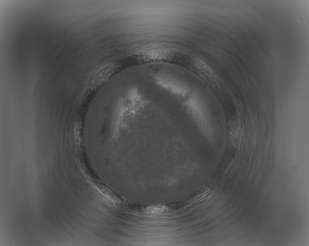 X0000062790410200512290228