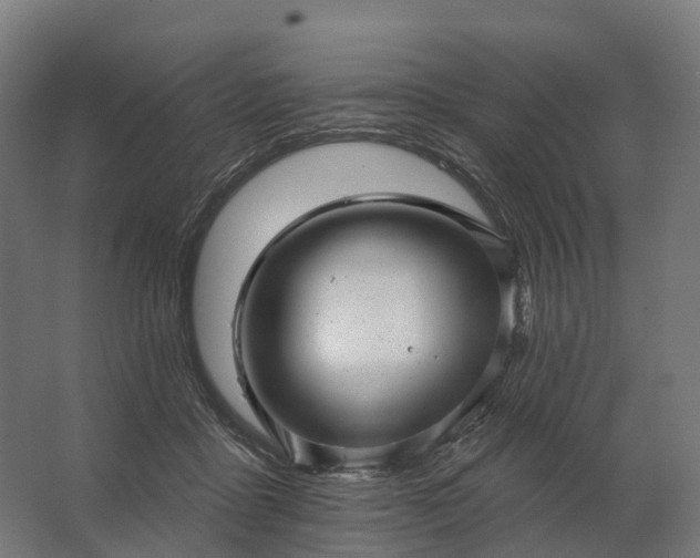 X0000062790411200512290228