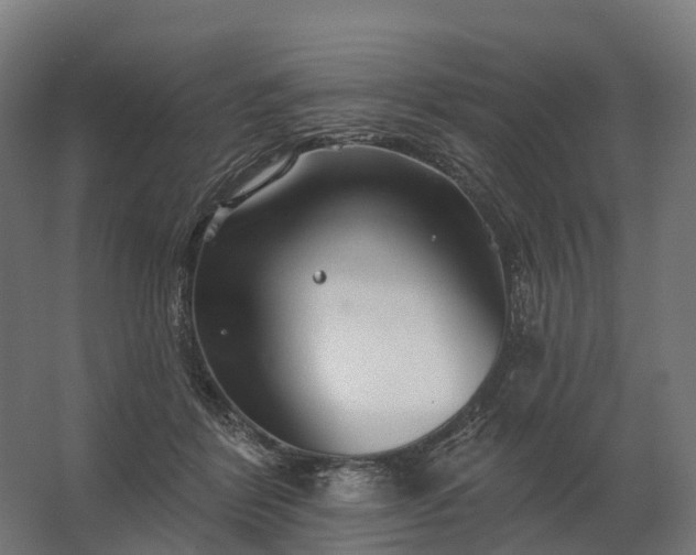 X0000062790412200512290228