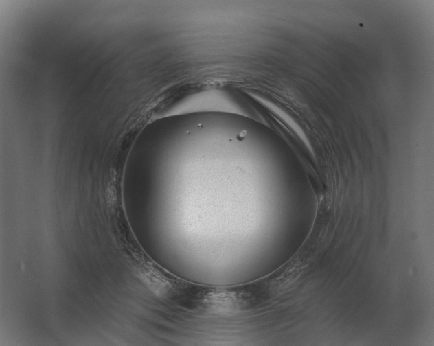 X0000062790413200512290228