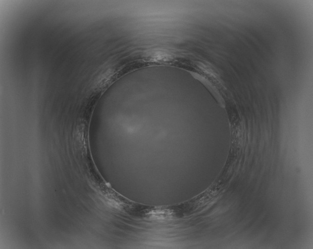 X0000062790415200512290228