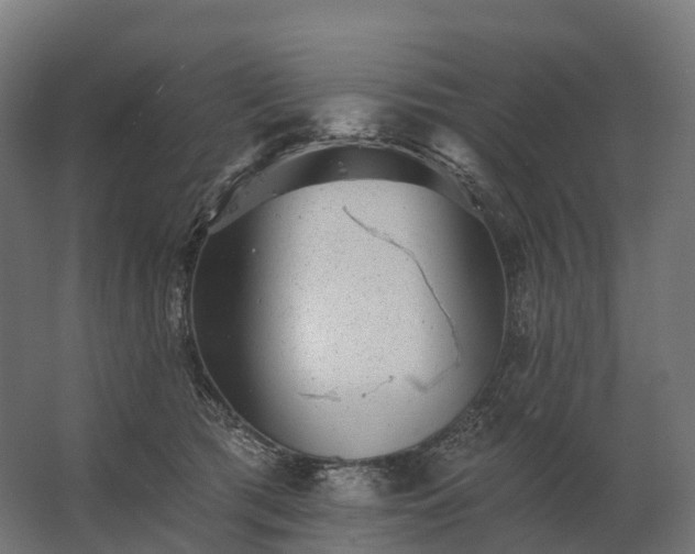 X0000062790417200512290227