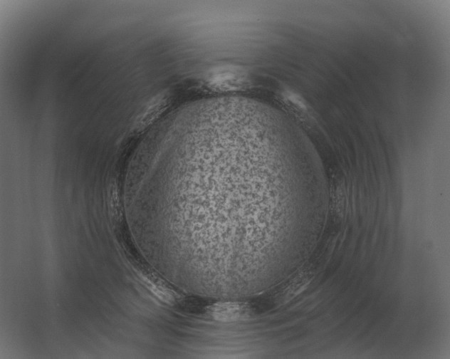 X0000062790418200512290227