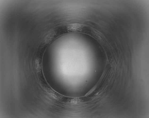 X0000062790420200512290227