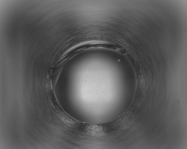 X0000062790421200512290227