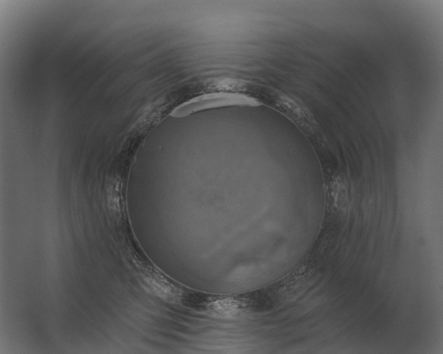 X0000062790423200512290227