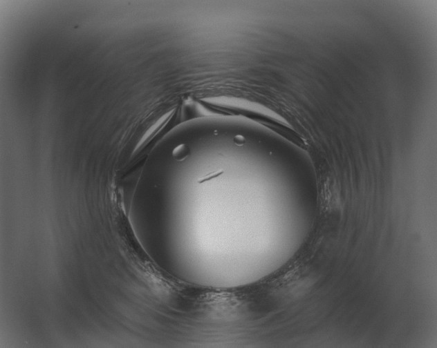 X0000062790424200512290227