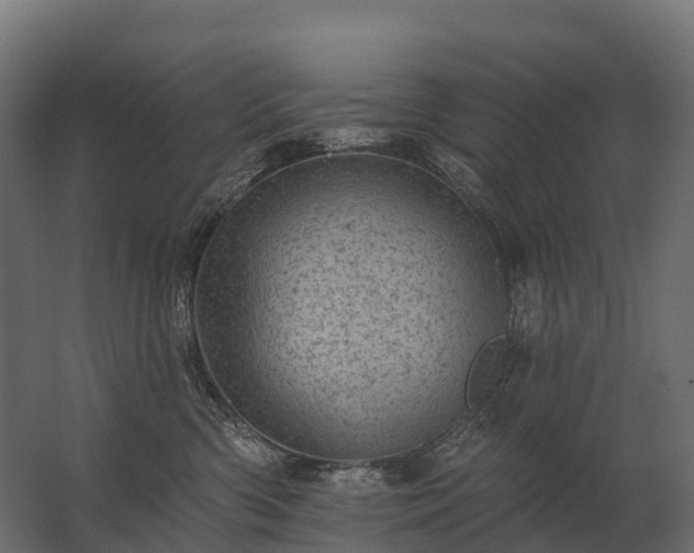 X0000062790426200512290227