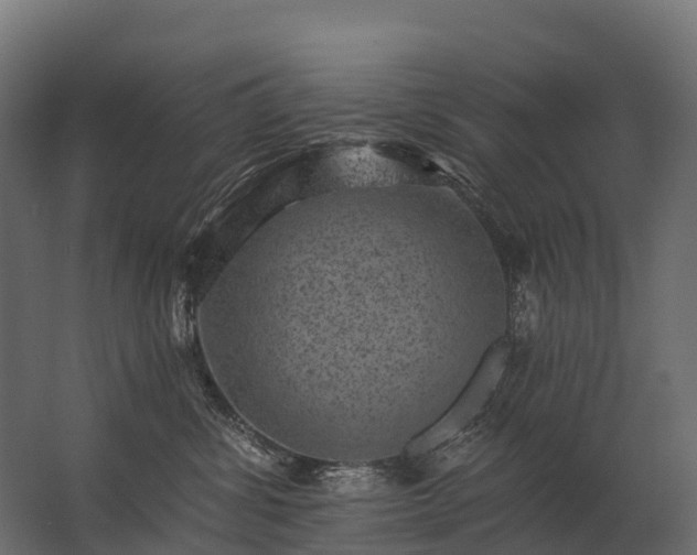 X0000062790428200512290227